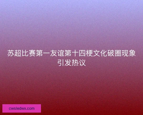 苏超比赛第一友谊第十四梗文化破圈现象引发热议