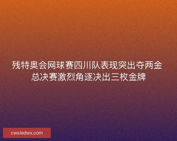 残特奥会网球赛四川队表现突出夺两金 总决赛激烈角逐决出三枚金牌
