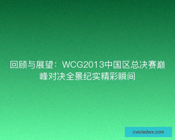 回顾与展望：WCG2013中国区总决赛巅峰对决全景纪实精彩瞬间